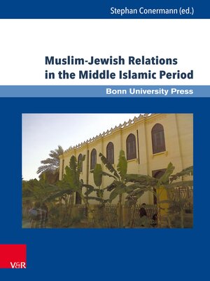 cover image of Muslim-Jewish Relations in the Middle Islamic Period